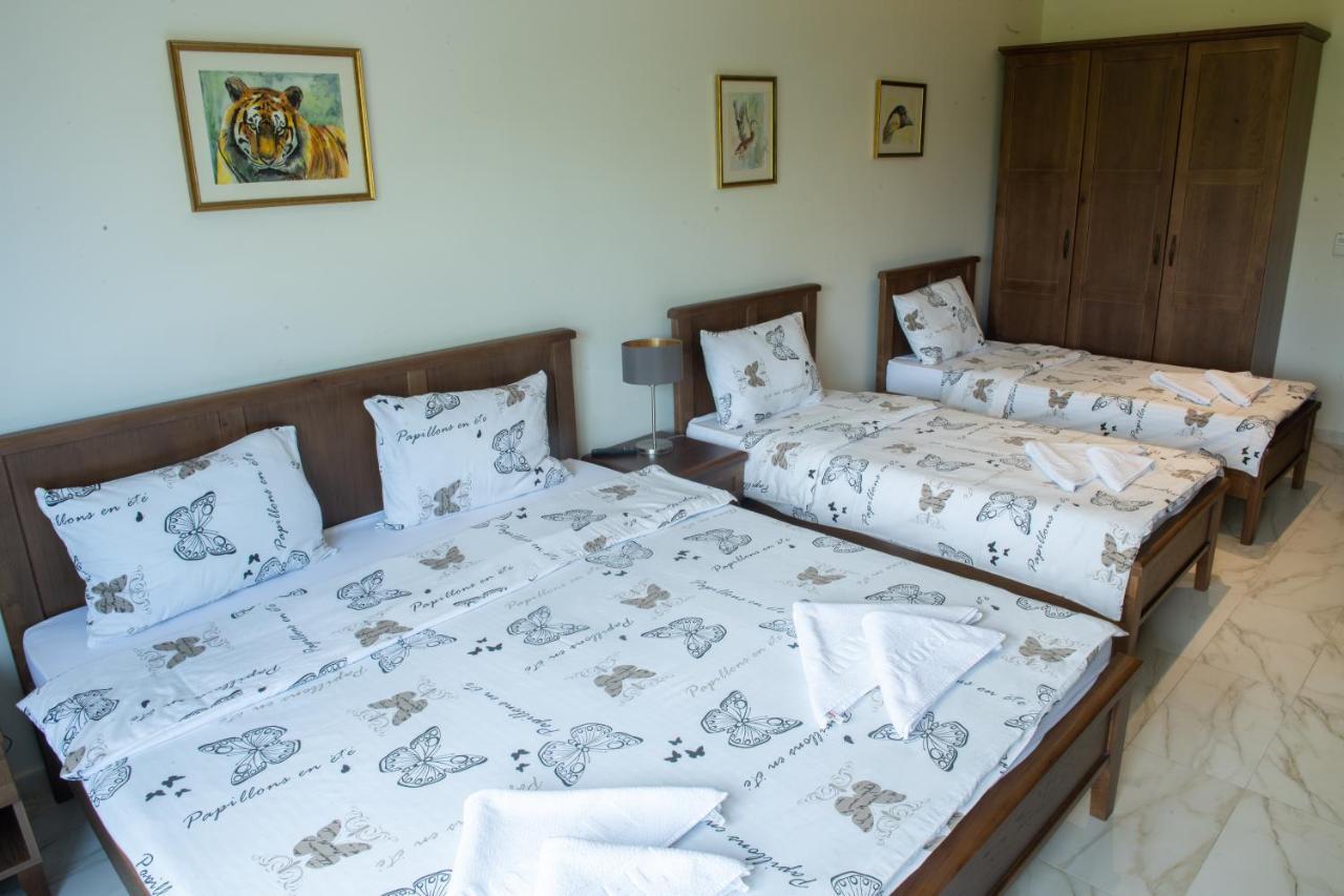 Zoo Misic Prenociste Hotel Vranje Exterior foto