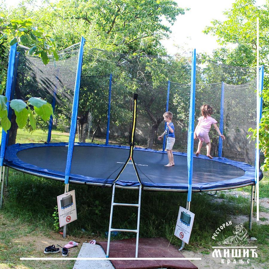 Zoo Misic Prenociste Hotel Vranje Exterior foto