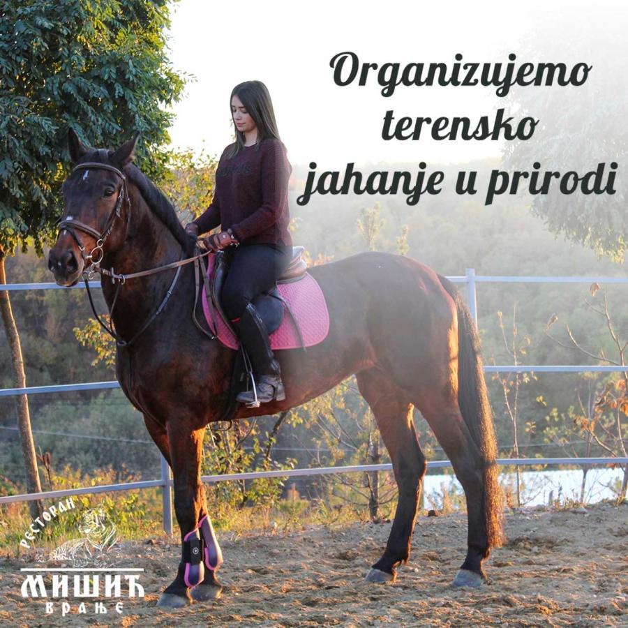 Zoo Misic Prenociste Hotel Vranje Exterior foto
